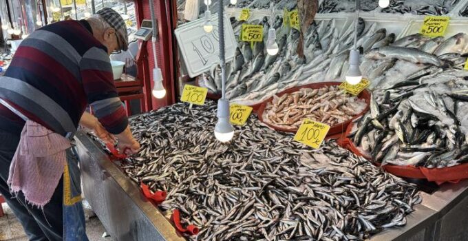 Hamsinin Kilosu 100 TL’ye Düştü