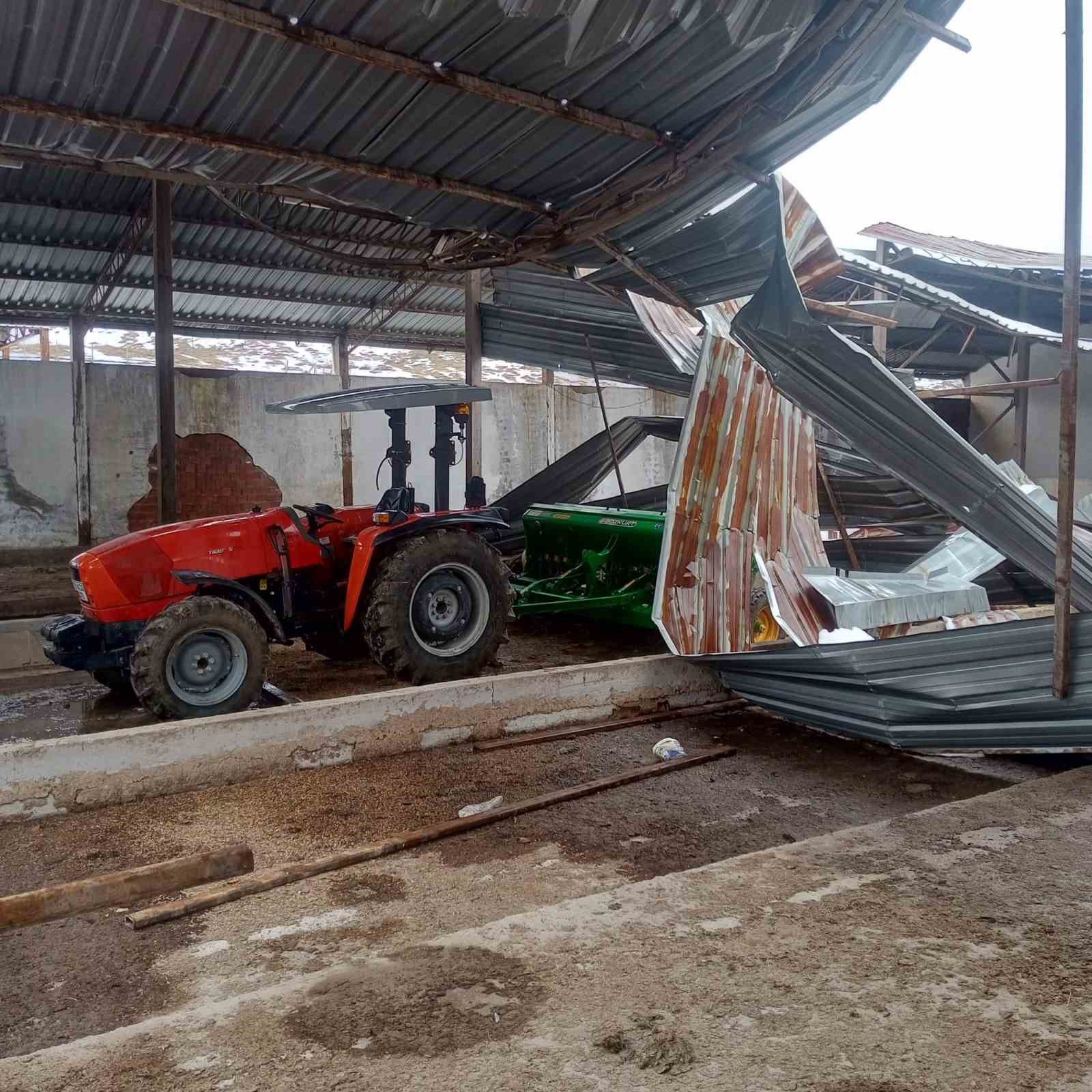 Mandıra çatısı çöktü: 4 ton buğday zarar gördü