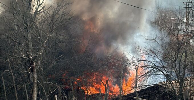 Müştemilat yangınında 2 köpek yavrusu telef oldu