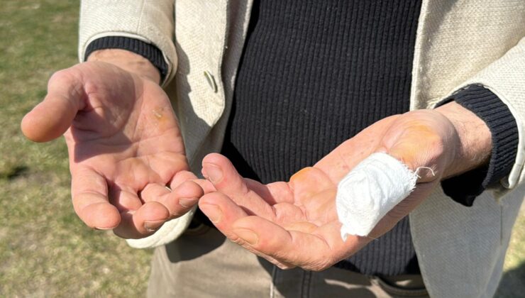 Başıboş pitbull, vatandaş ile köpeğine dehşeti yaşattı