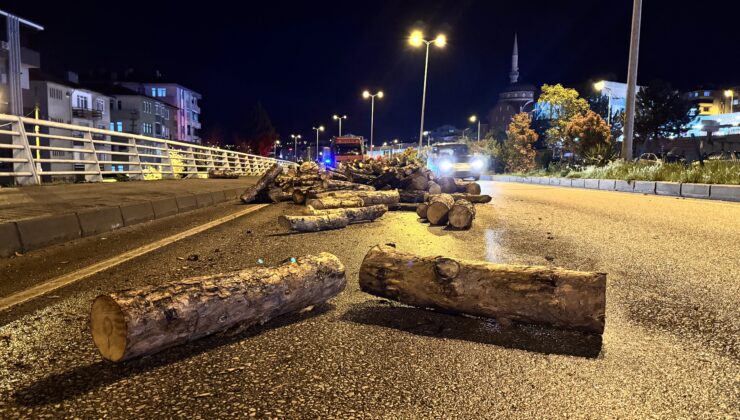 Damperi kalktı, yüklü odunlar kara yoluna döküldü