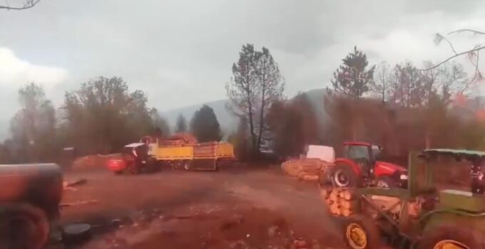 Orman işçilerinin yakınına yıldırım düştü