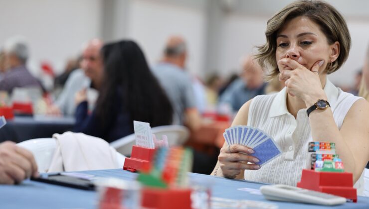 Altın safran’da briç heyecanı