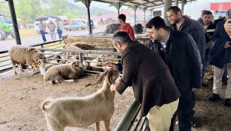 Şahin ve Çetinkaya kurban pazarını gezdi