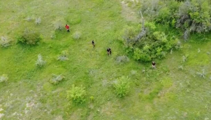 Muhtarı dinlemediler, dronu görünce kaçtılar