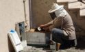 Doğal gaz kutusuna yuva yapan arılar tedirgin etti