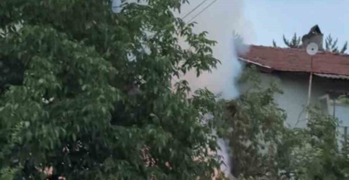 Korkutan ardiye yangını  evlere sıçramadan söndürüldü