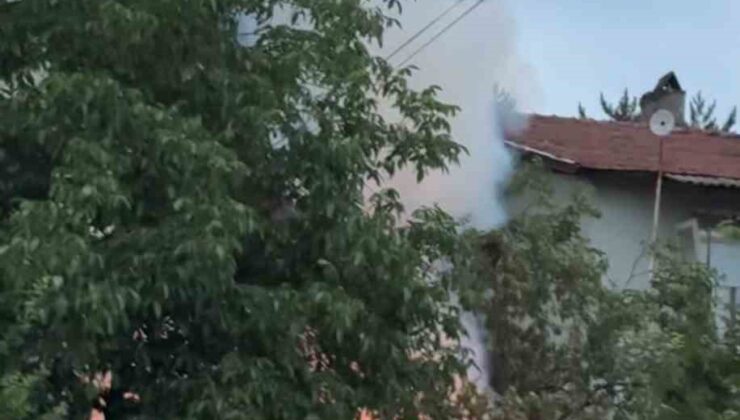 Korkutan ardiye yangını  evlere sıçramadan söndürüldü