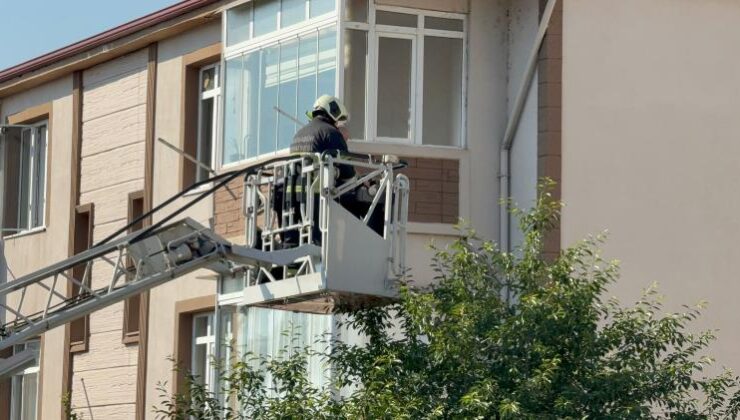 Evin balkonundaki manzarayı görenler şok oldu