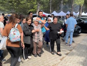 Başına dal isabet eden kadın yaralandı