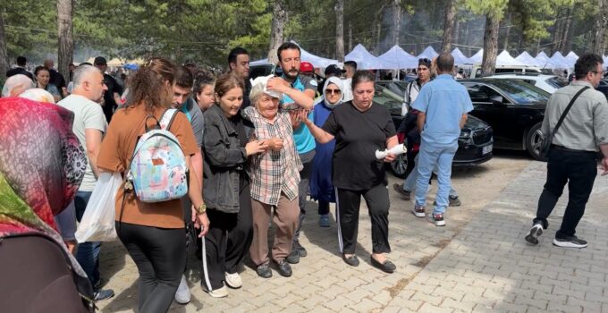 Başına dal isabet eden kadın yaralandı