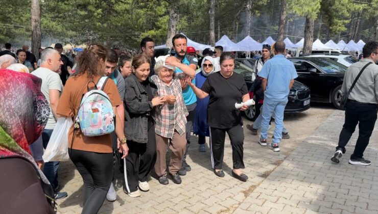 Başına dal isabet eden kadın yaralandı