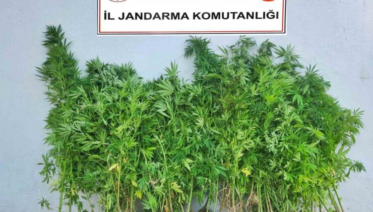 Uyuşturucu operasyonunda 6 kişi adliyeye sevk edildi