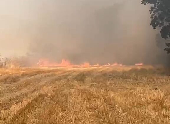 Anız yangını geniş alanda etkili oldu