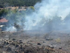 Karabük’te korkutan anız yangını büyümeden söndürüldü