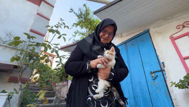  Ağaçları örgülerle giydiriyor, el emeğiyle sokak hayvanlarını besliyor
